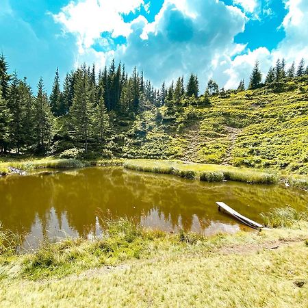 Plai Hotel Dragobrat Luaran gambar